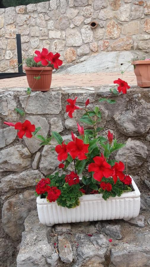 Appartamento In Collina Fondi Exterior photo